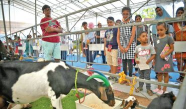 கூரைப் பூக்களின் கொண்டாட்டம் – பொங்கலோ பொங்கல்